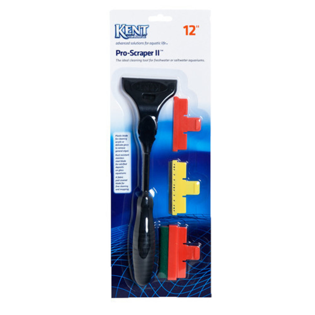 12 Razor Scraper