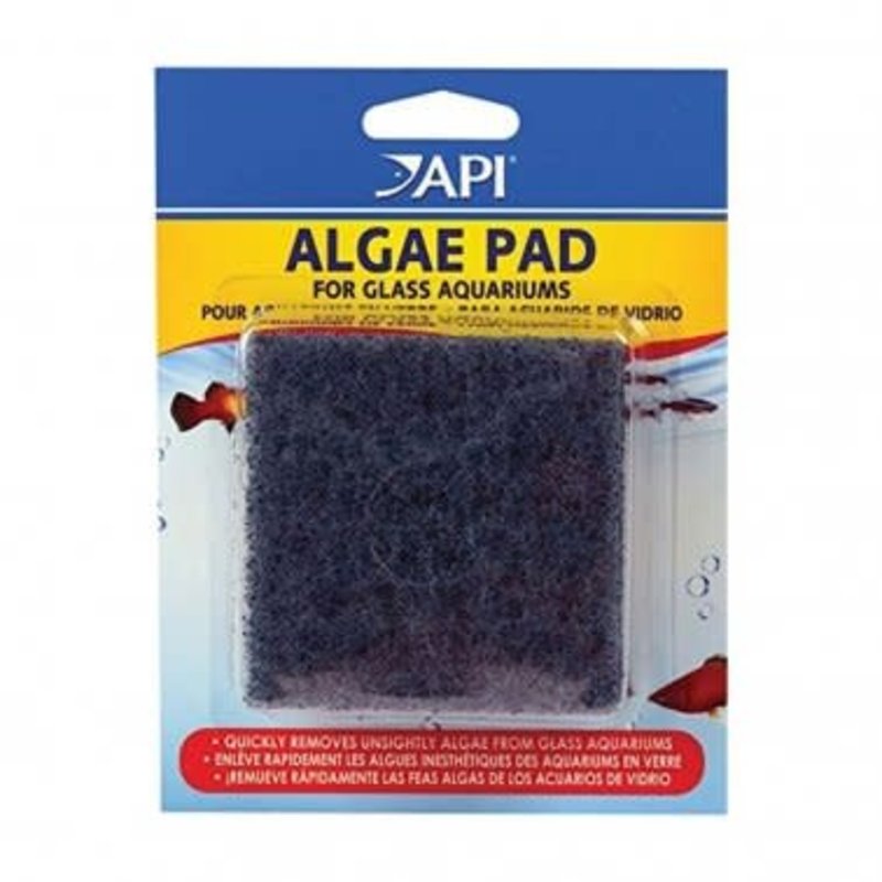 Aquarium Pharmaceuticals Algae Scraper Pad Glass