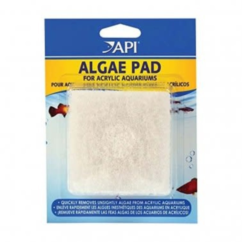 Aquarium Pharmaceuticals Algae Scraper Pad - Acrylic