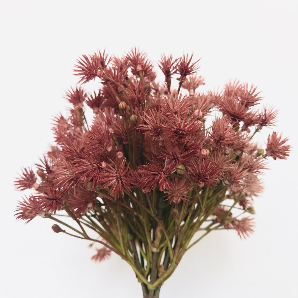 Bouquet Filler Red Fish Gallery