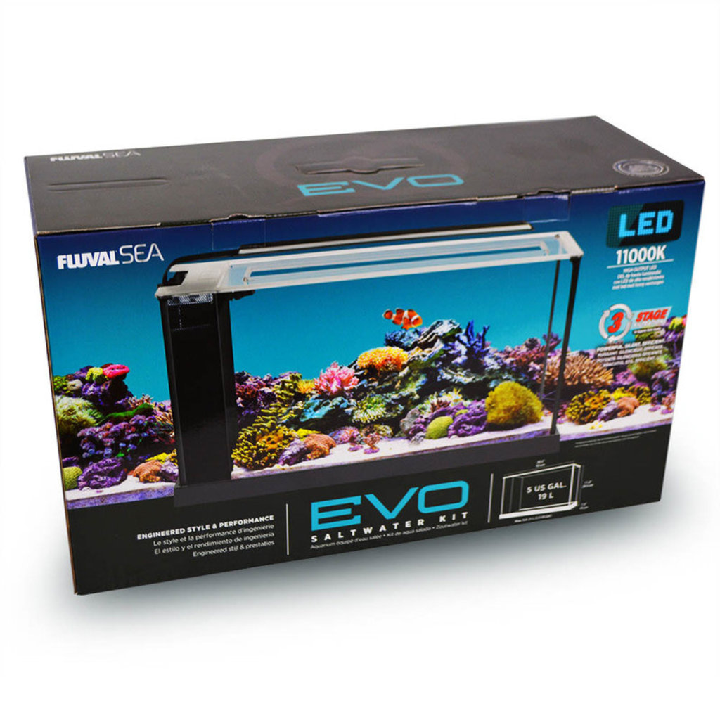 Fluval Evo V Marine Kit 5 G Fish Gallery