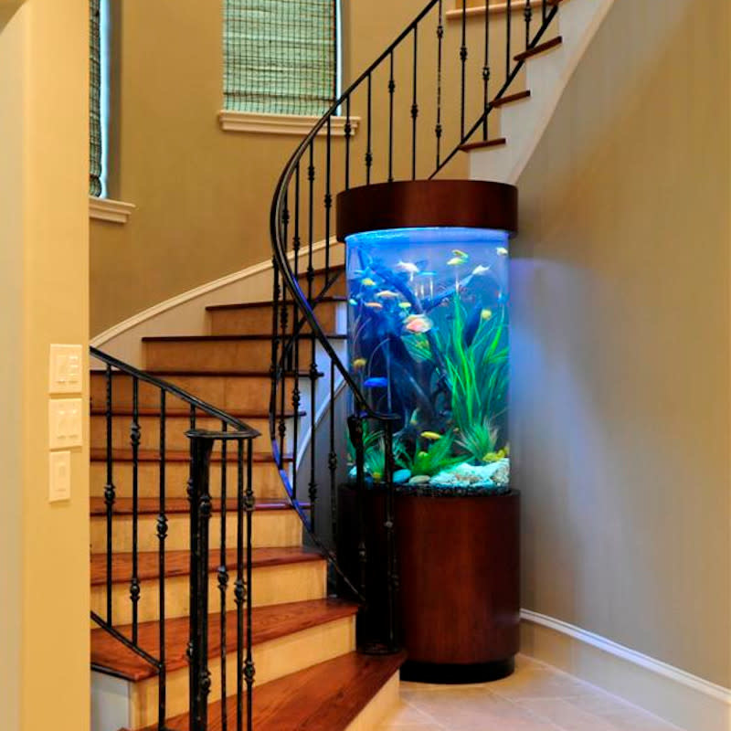 120 Gallon Cylinder - Fish Gallery