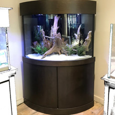 Acrylic & Glass Exhibits 110 Gallon Corner Bowfront