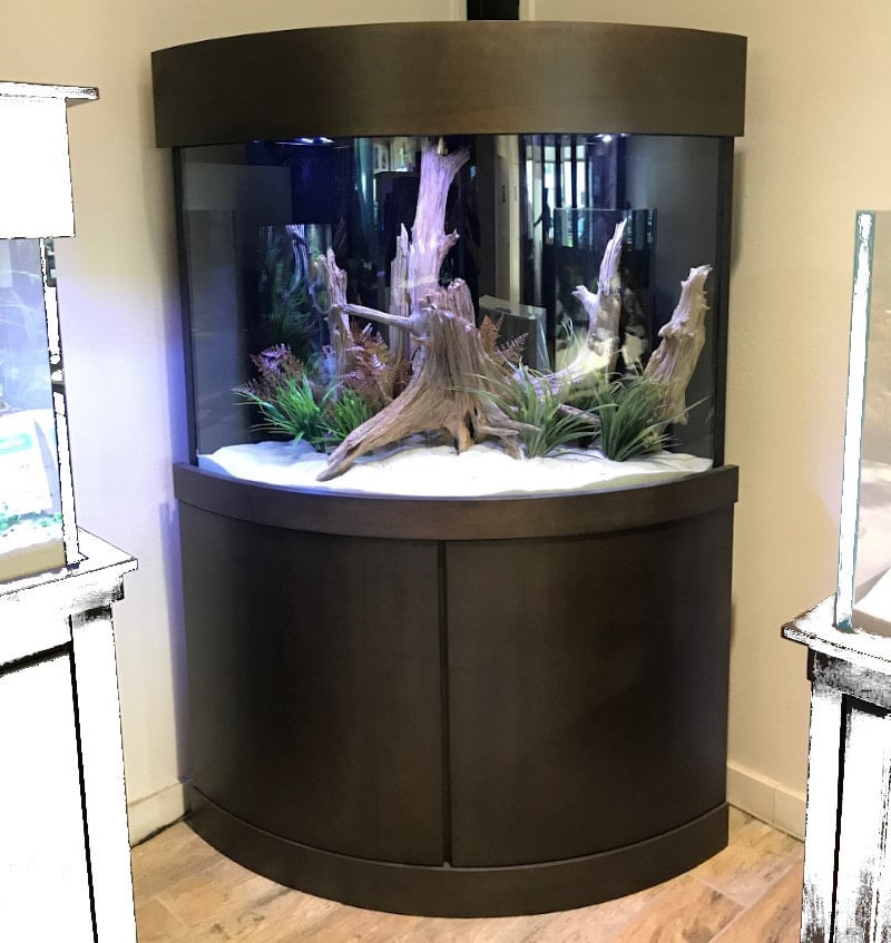 Waterig Televisie kijken Megalopolis 110 Gallon Corner Bowfront with Custom Cabinetry - Fish Gallery