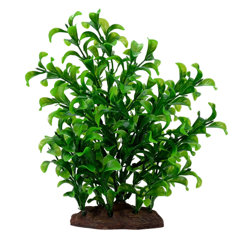 Hagen Products Large Bacopa Plant Set 8"