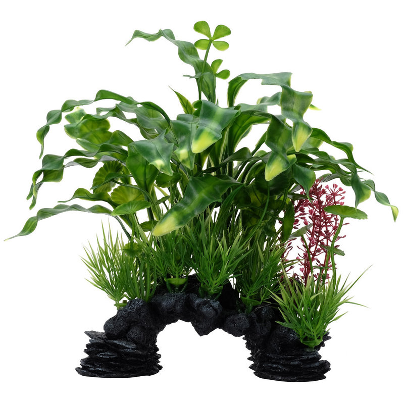 Hagen Products Curly Aponogeton Mix / Decore 10"