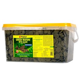Tropical Green Wafers with Algae - 5L/2.25kg/4lb15oz