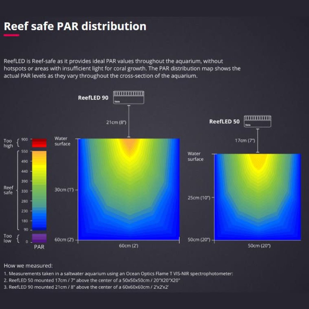 Red Sea ReefLED 90 - Fish Gallery