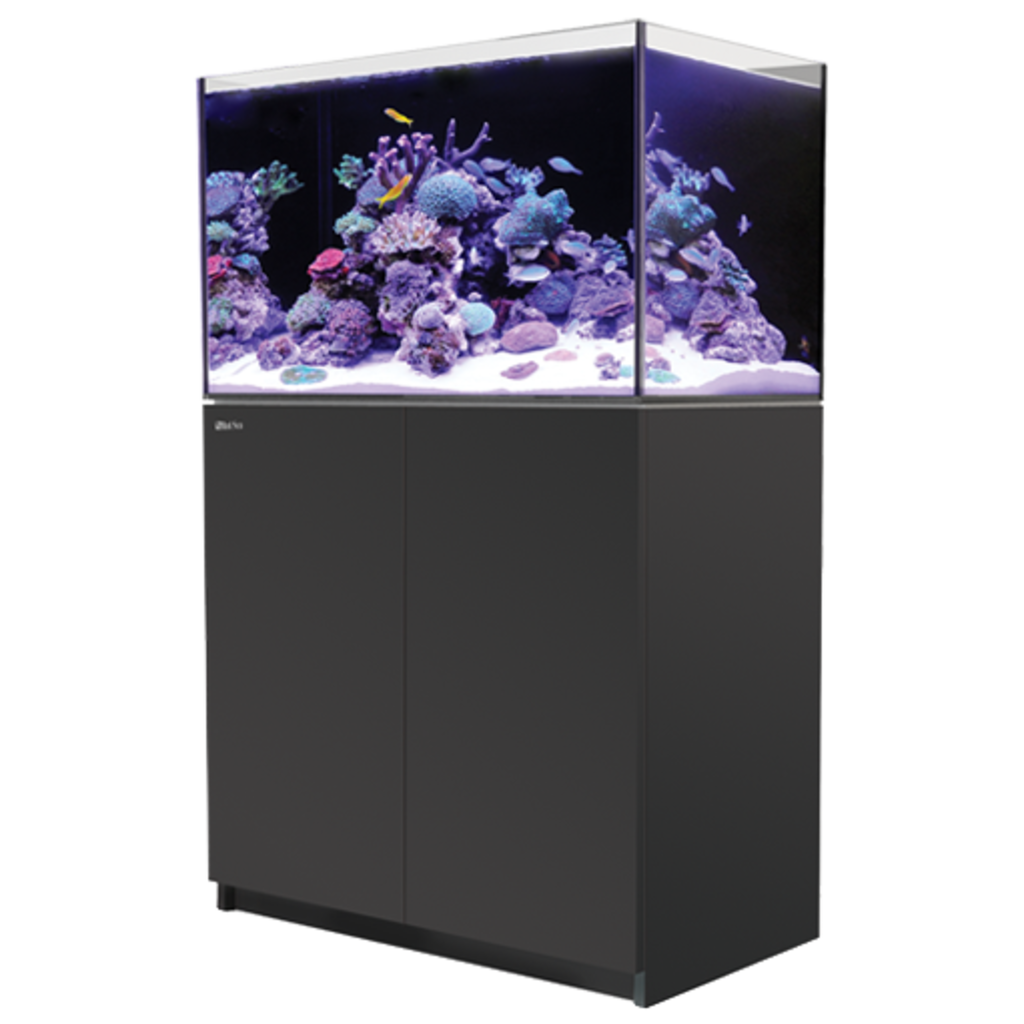 Red Sea Fish Pharm Ltd. Red Sea Reefer 250 65Gal Black