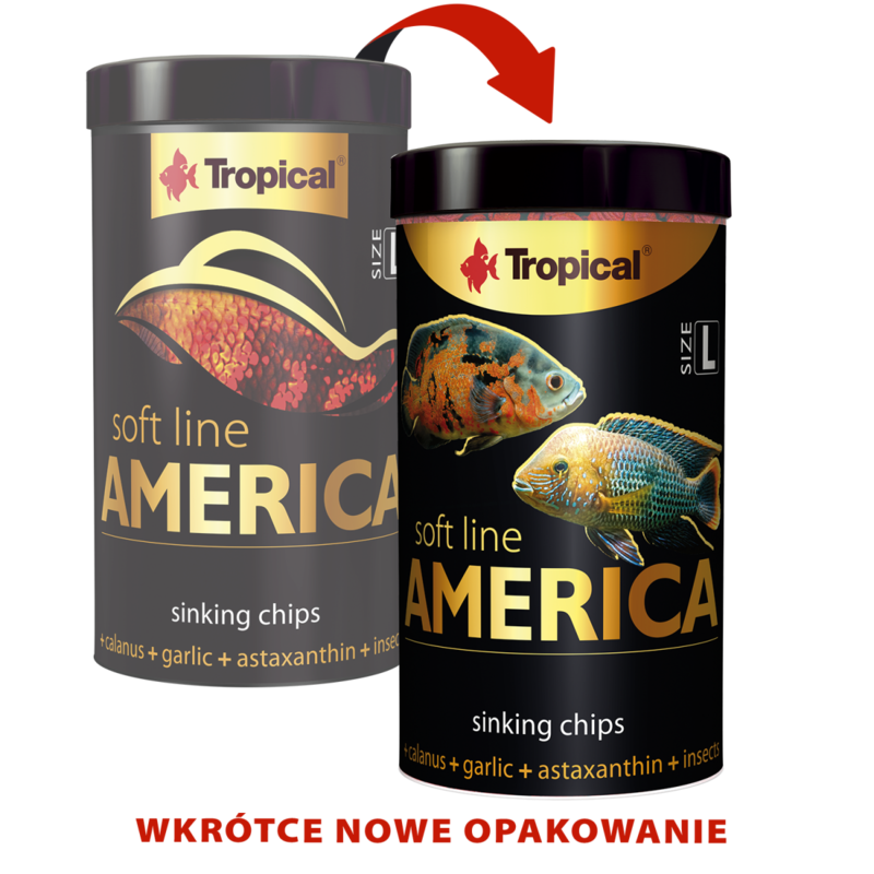 Tropical Soft Line America Size L 100ML/52G (1.83 oz)