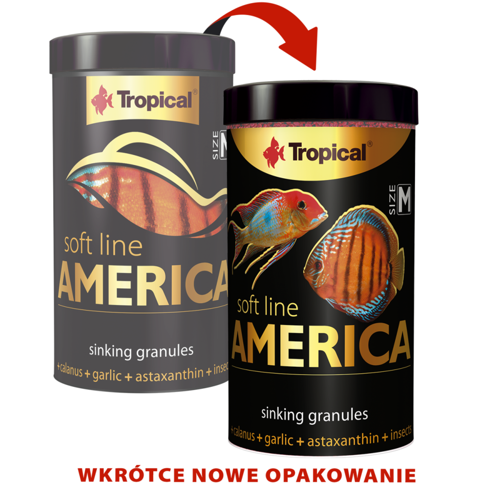 Tropical Soft Line America Size M 250ML/150G (5.29 oz)