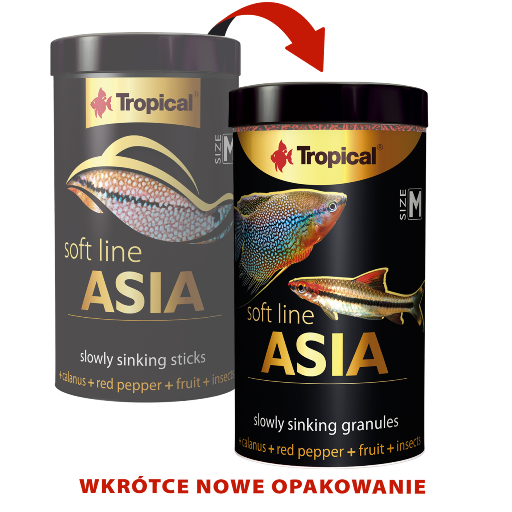 Tropical Soft Line Asia Size S 250ML/125G (4.41 oz)