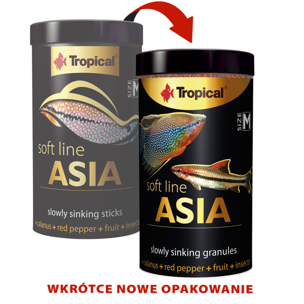 Tropical Soft Line Asia Size M 250ML/100G (3.53 oz)