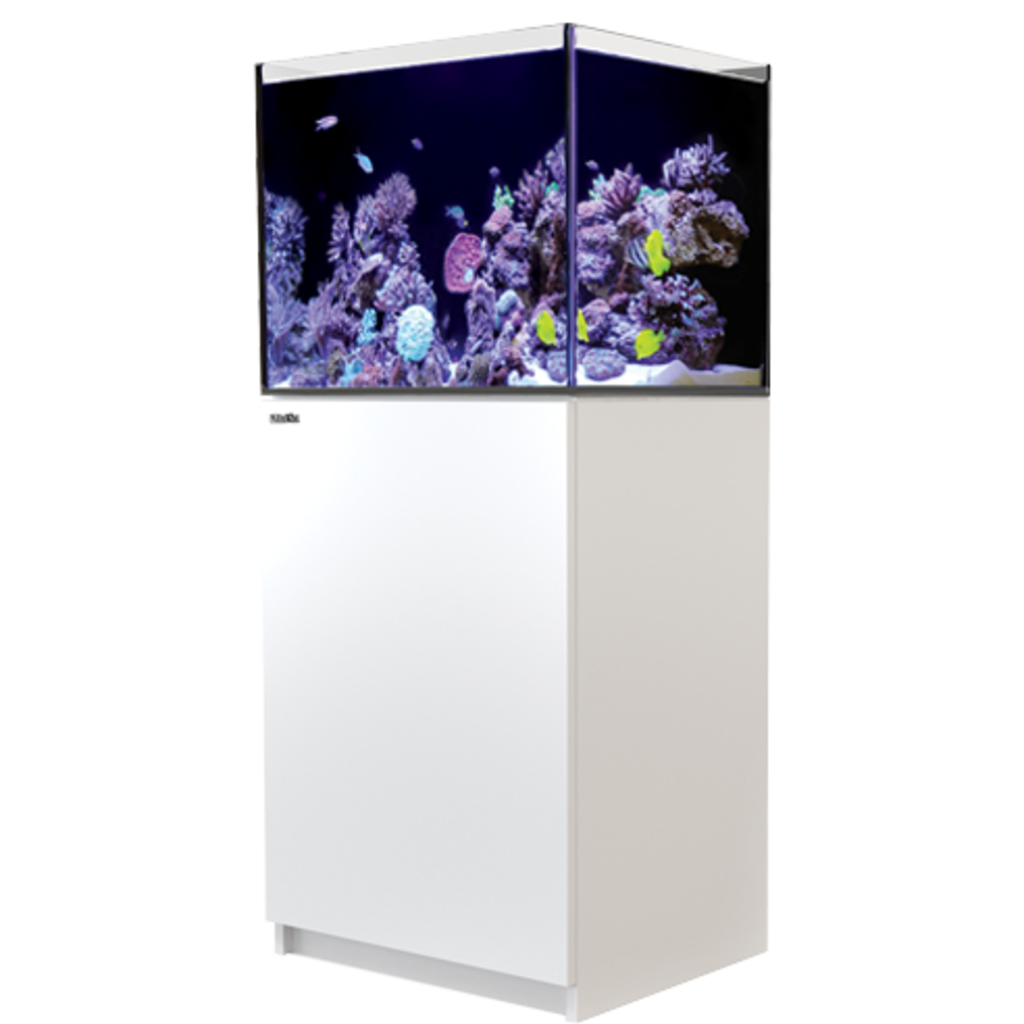 Red Sea Fish Pharm Ltd. Red Sea REEFER 170 (43Gal) - White