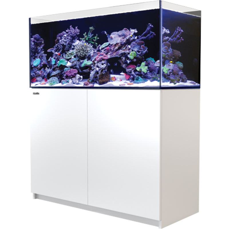 Red Sea Fish Pharm Ltd. Red Sea Reefer 350 91Gal White