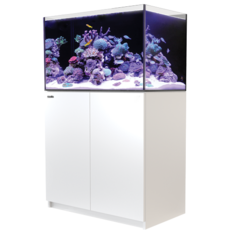 Red Sea Fish Pharm Ltd. Red Sea Reefer 250 65Gal White