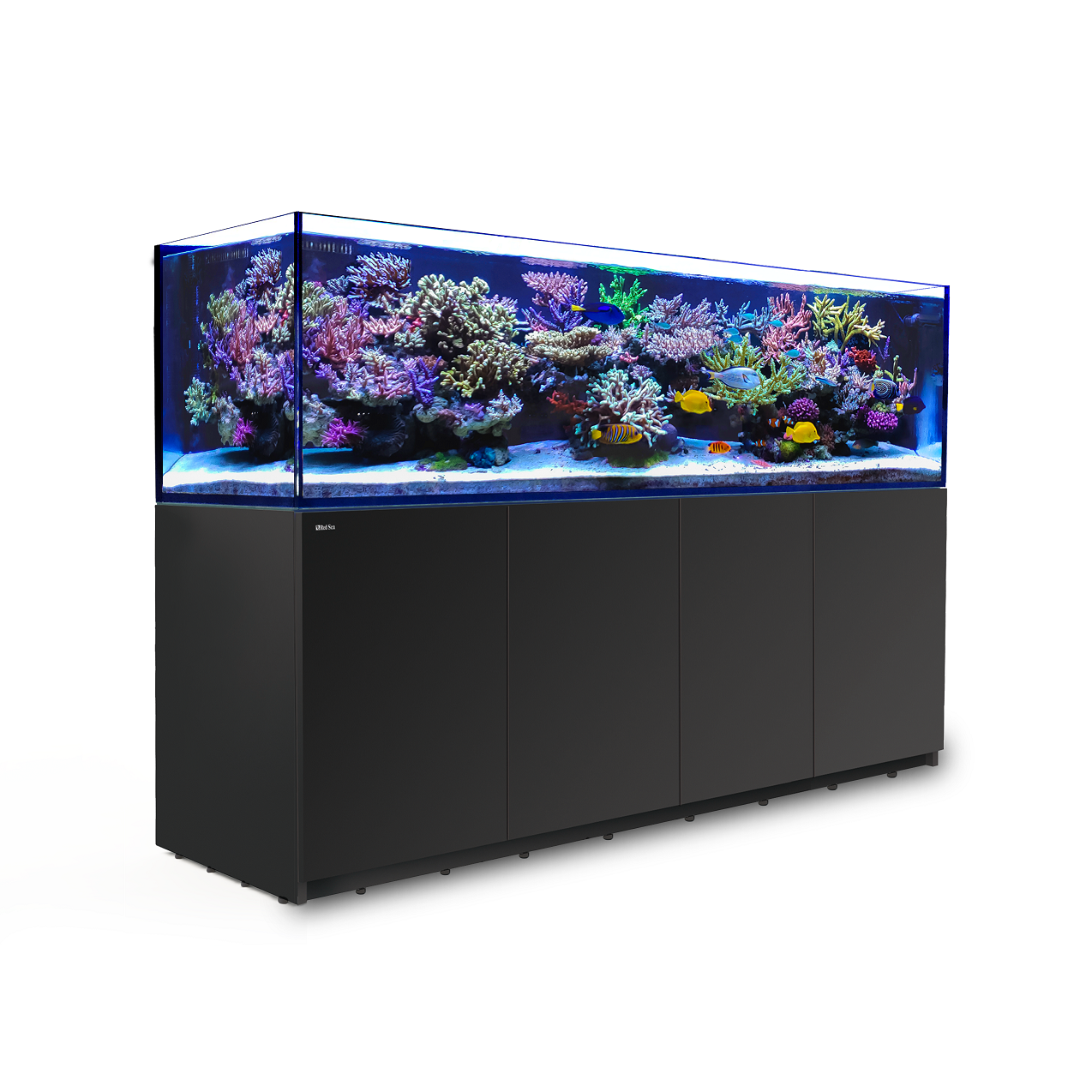 Red Sea Reefer 3xl 900 240gal Blk Fish Gallery