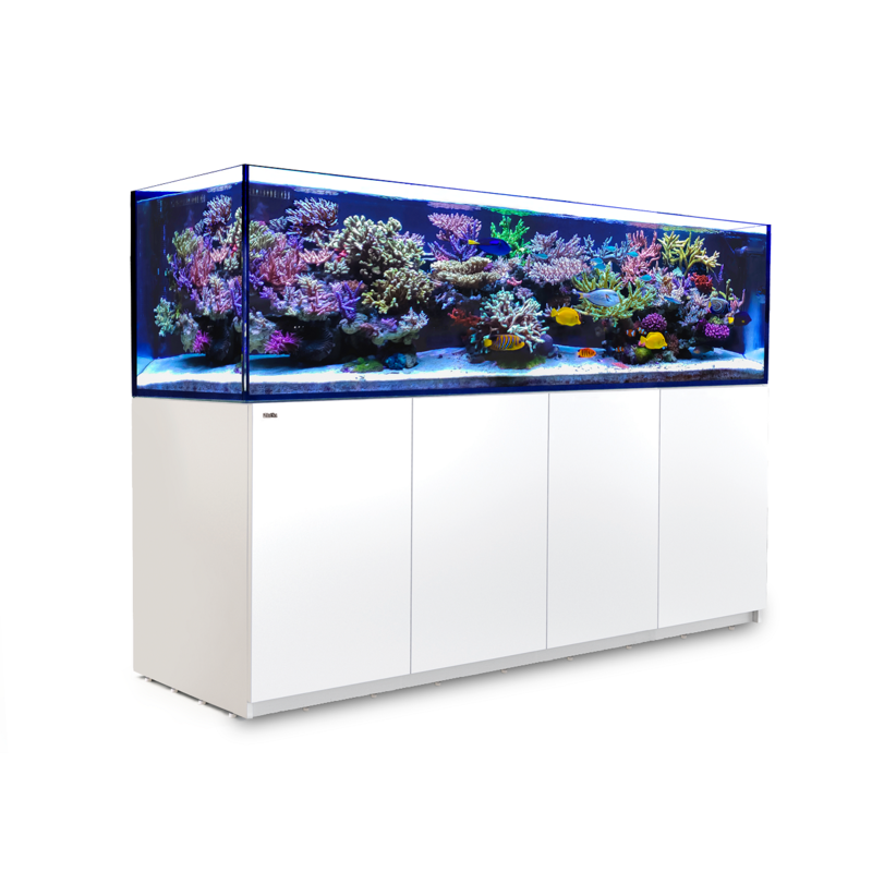 Red Sea Fish Pharm Ltd. Red Sea REEFER 3XL 900 240Gal White