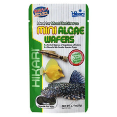 Hikari Hikari Mini Algae Wafers 0.77oz