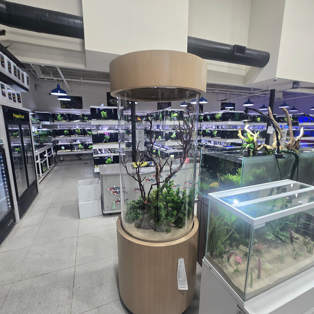 Landry 120 white oak cylinder