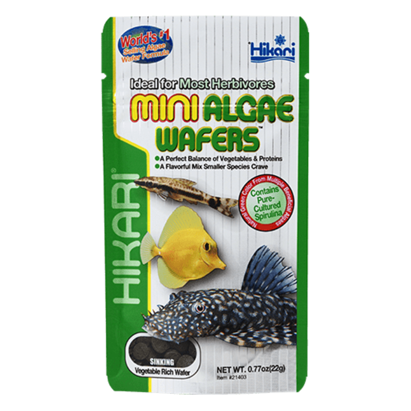 Hikari Hikari Mini Algae Wafers .77oz