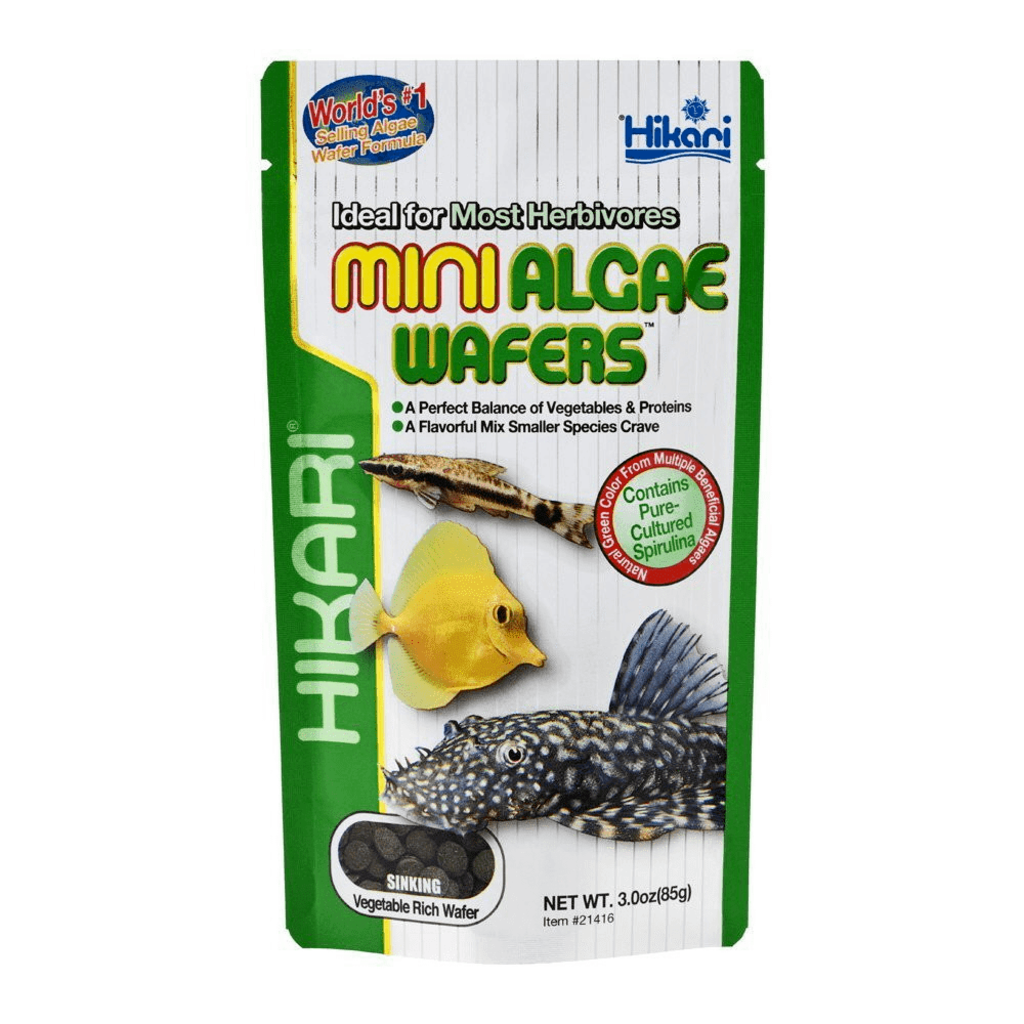 Hikari Hikari Mini Algae Wafers 3oz