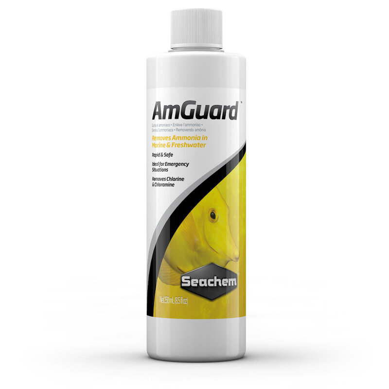 Seachem Seachem AmGuard 250ml