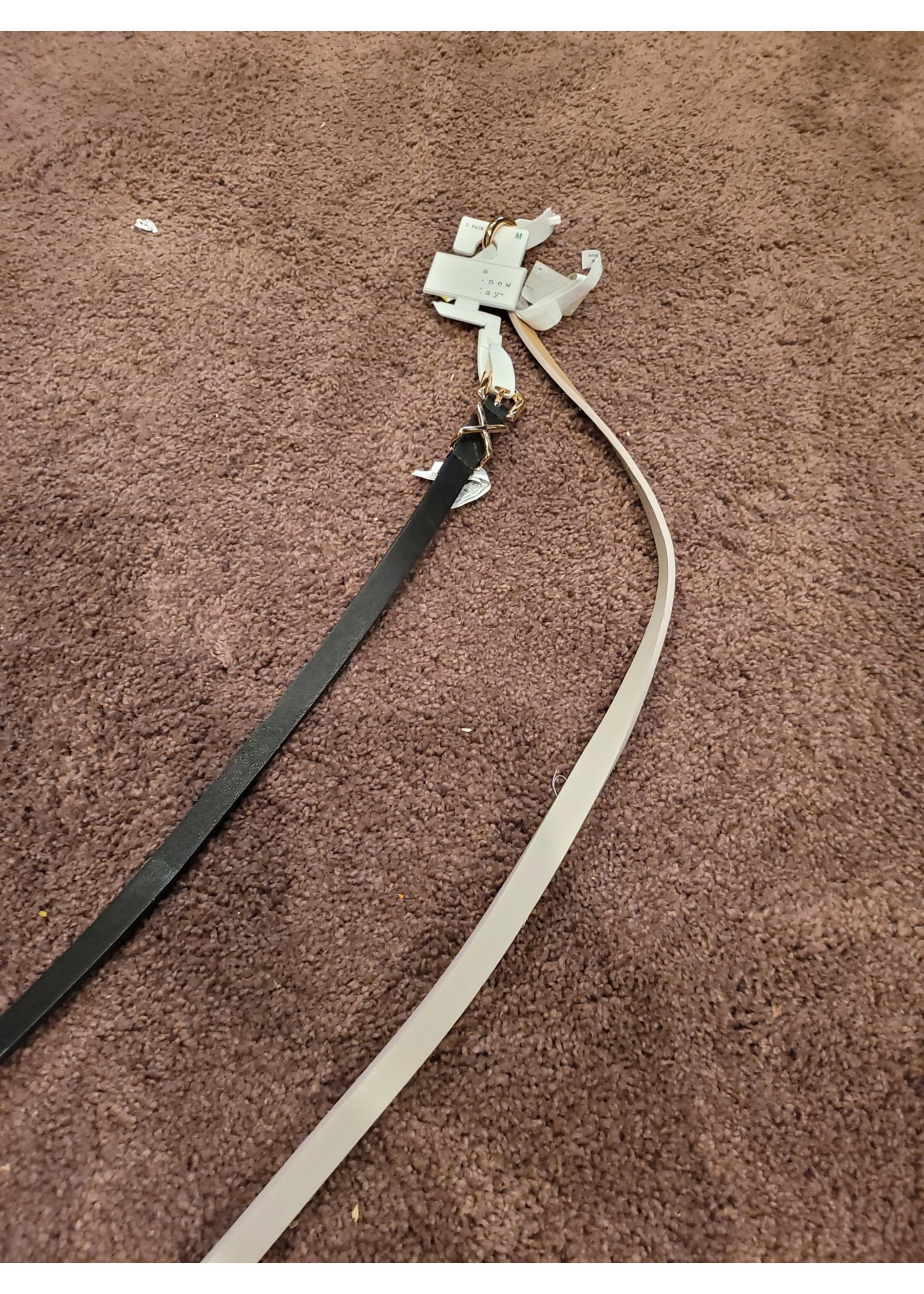 AND BELT AND Belt 2 Pk Taupe