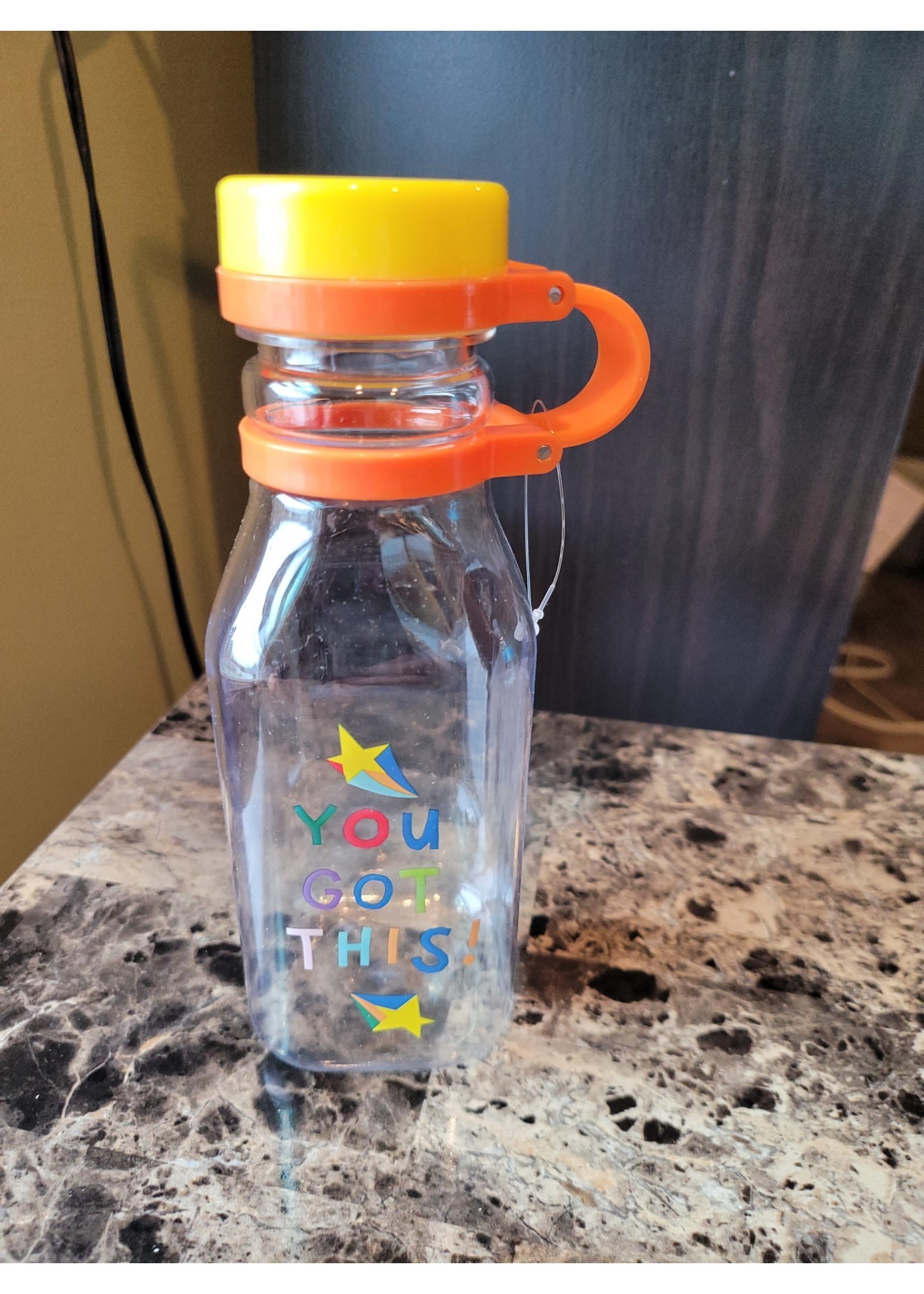 You Got This Portable Water Bottle