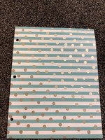 Portfolio 2 Pocket Pastel Stripe Mint - greenroom