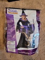 California Costumes Incantasia The Witch Costume Child Small 6-8