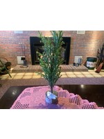 $5 Tree $5 Wood Base Tree BP