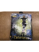 Adult DC Comics DC Super Hero Girls Catwoman Halloween Costume