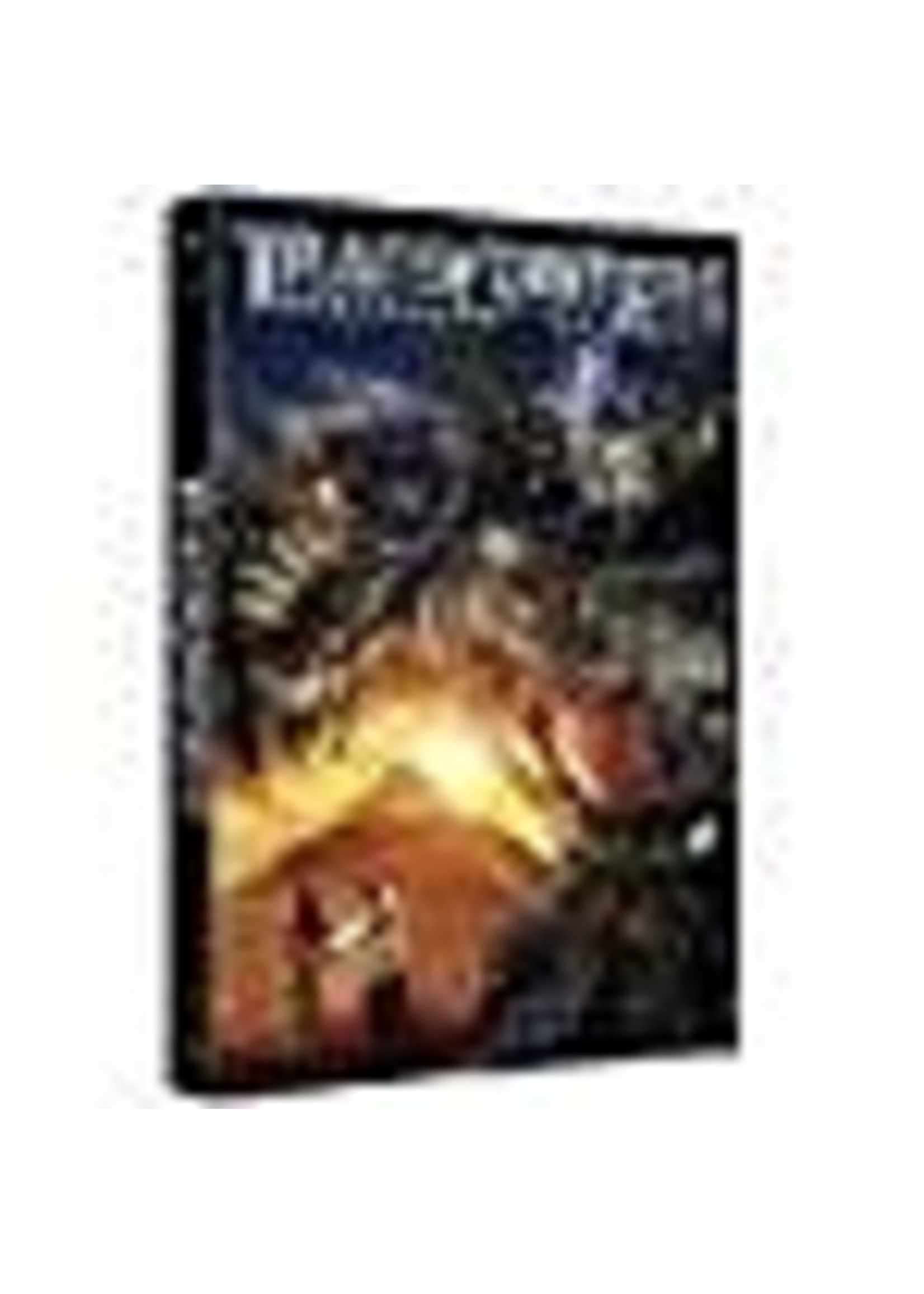 Transformers: Revenge of the Fallen (Single Disc)