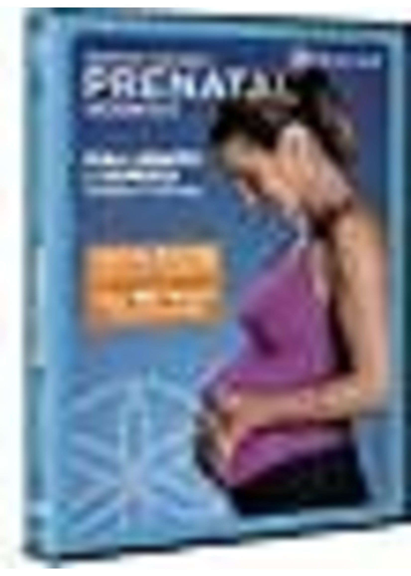 Summer Sander's Prenatal Workout DVD