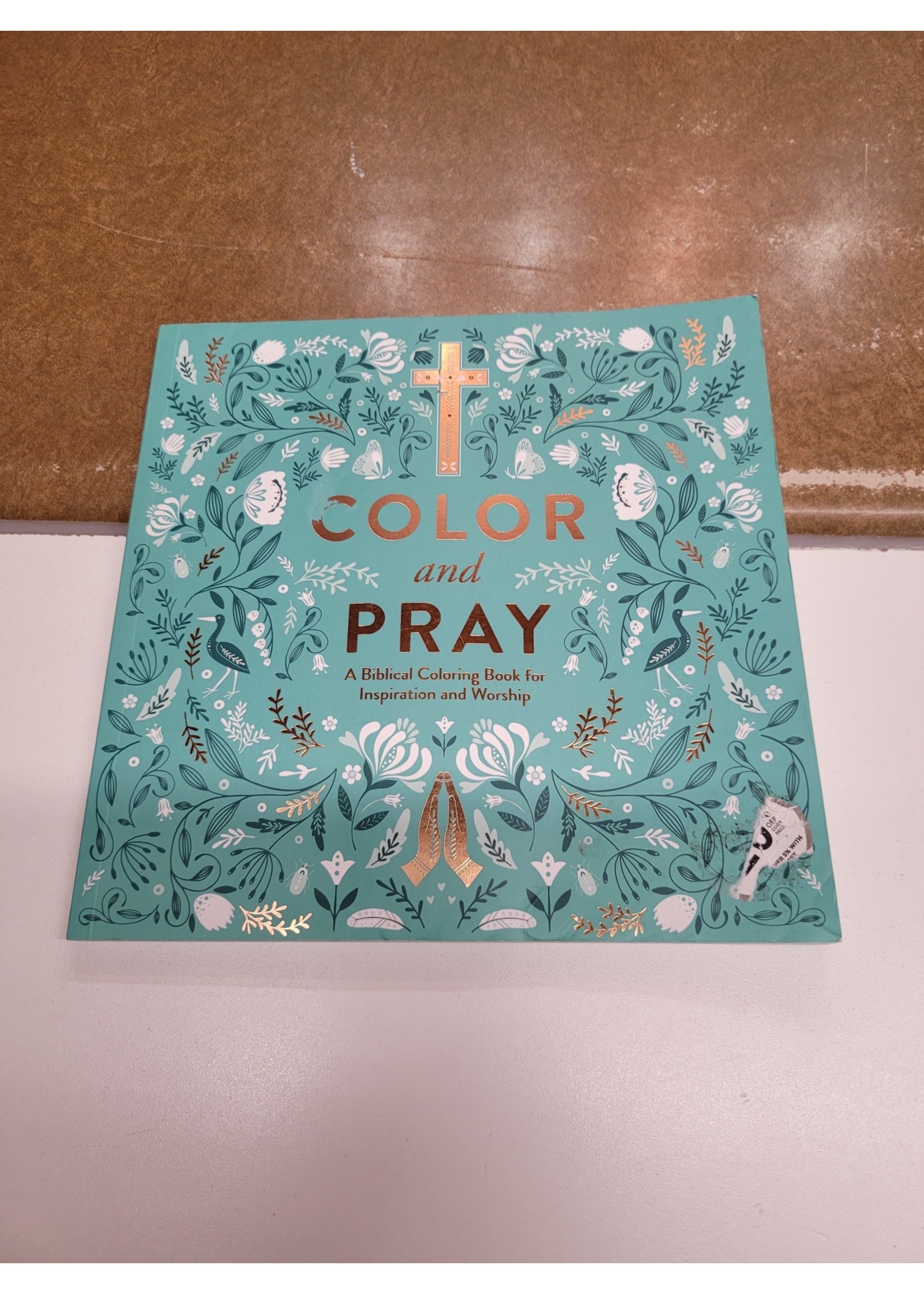 Color and Pray (Paperback)