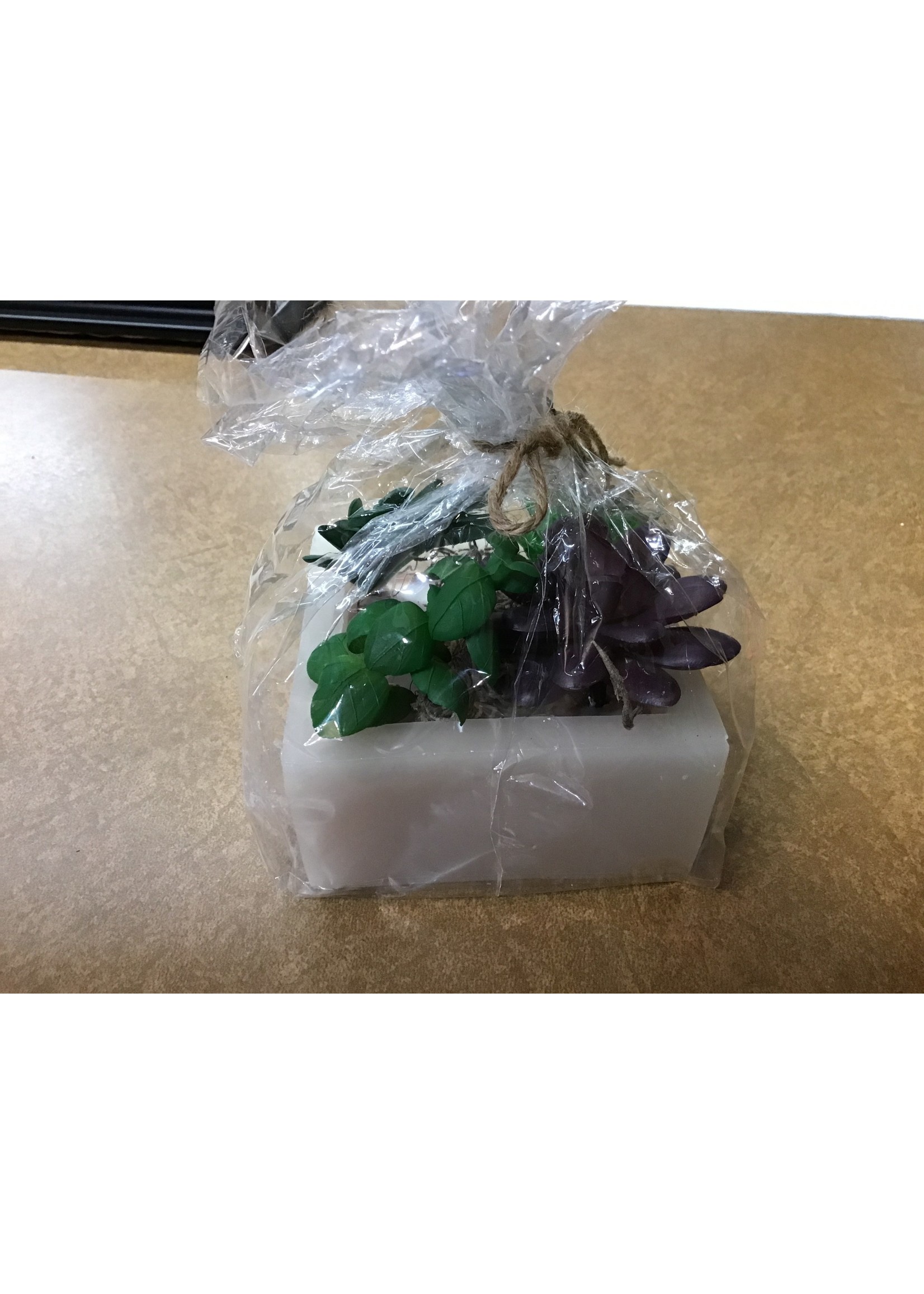 Place & Time Picnic Weather Grapefruit Orange Scent Block Faux Succulents