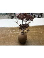 HH Achillea LG Purple Achillea