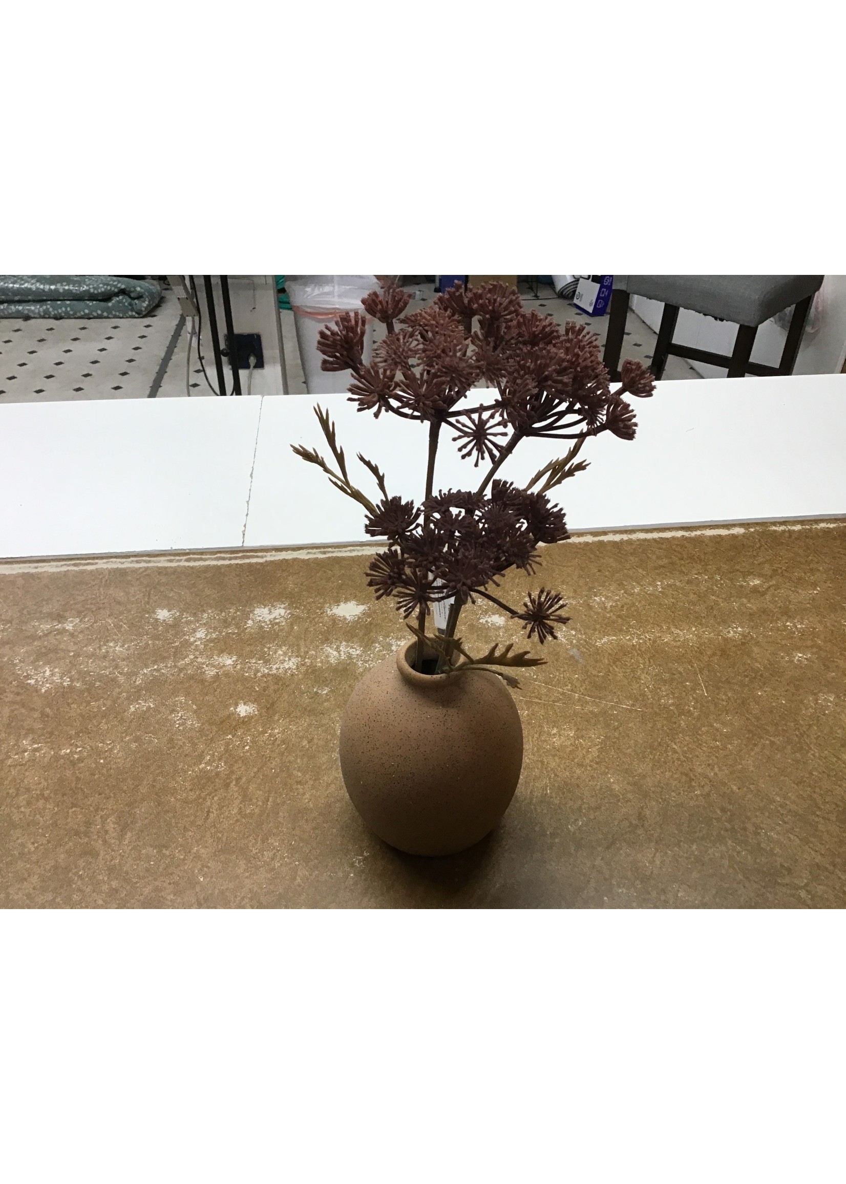 HH Achillea LG Purple Achillea