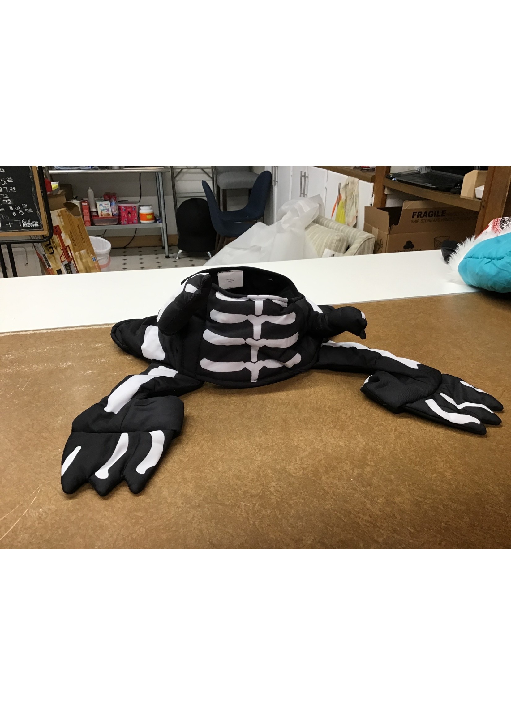 Dino Skeleton LED Frontal Dog Costume - M - Hyde & EEK! Boutique