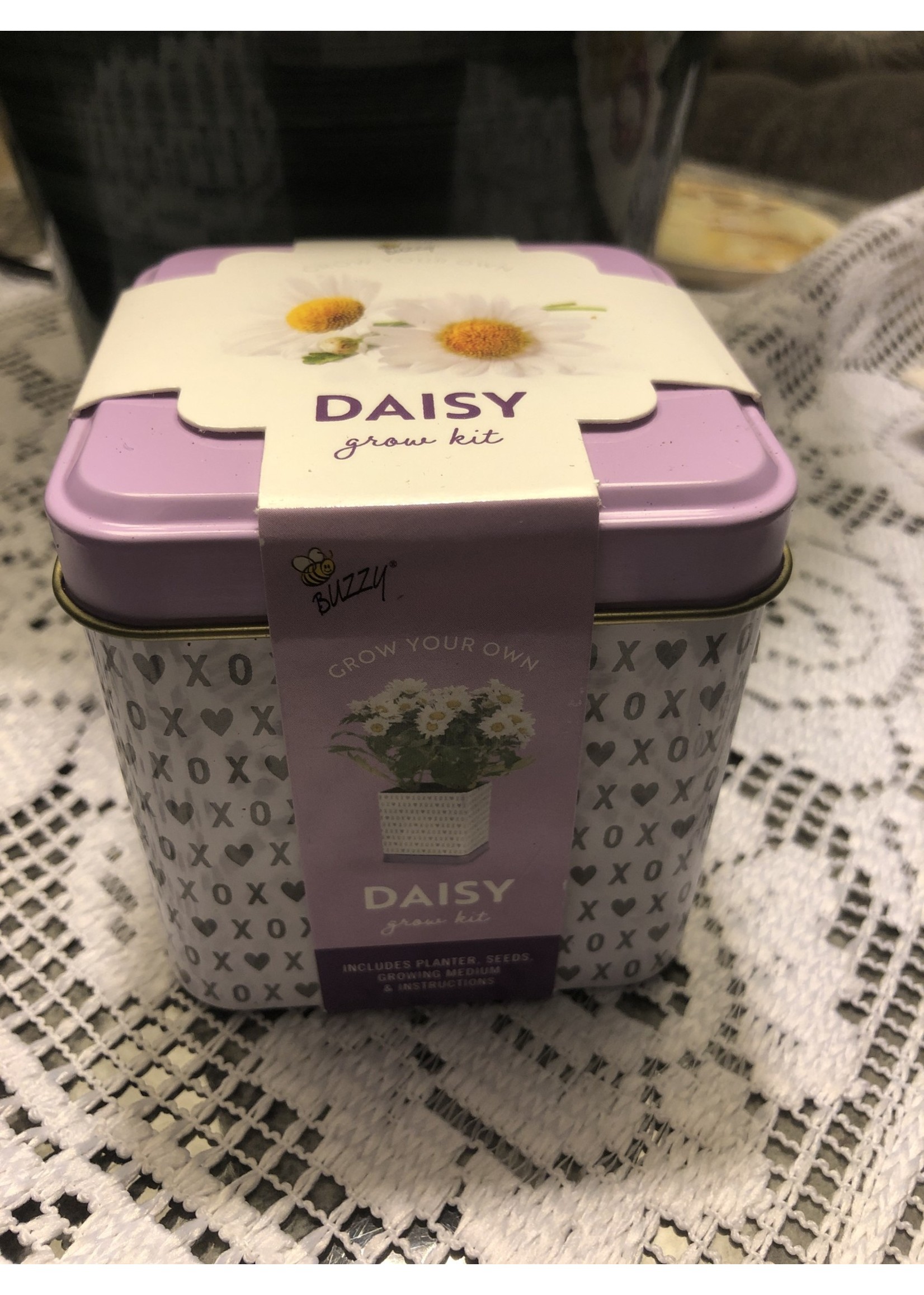 Buzzy Daisy Growing Kit