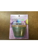 Basic Color Easter Cups - Spritz