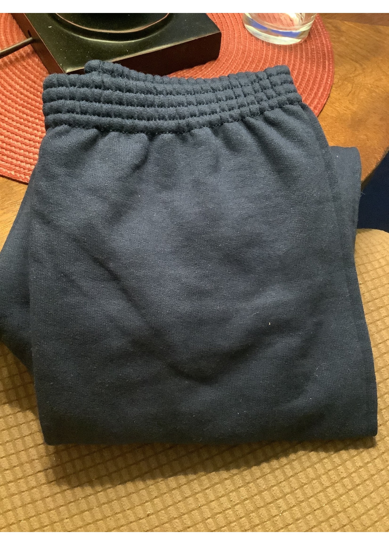 Hanes Kids Blue Sweatpants 10-12