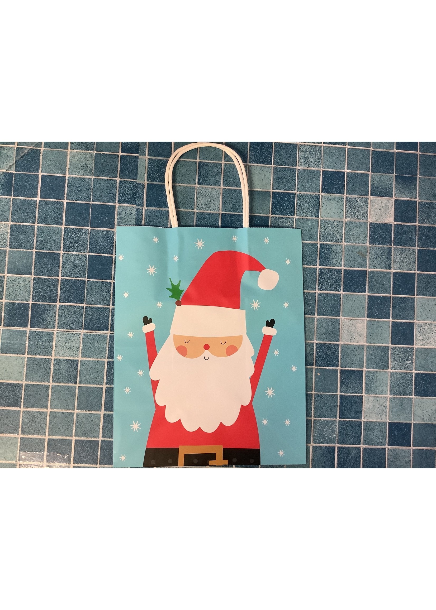 Cub Gift Bag with Paper Handle Santa - Wondershop