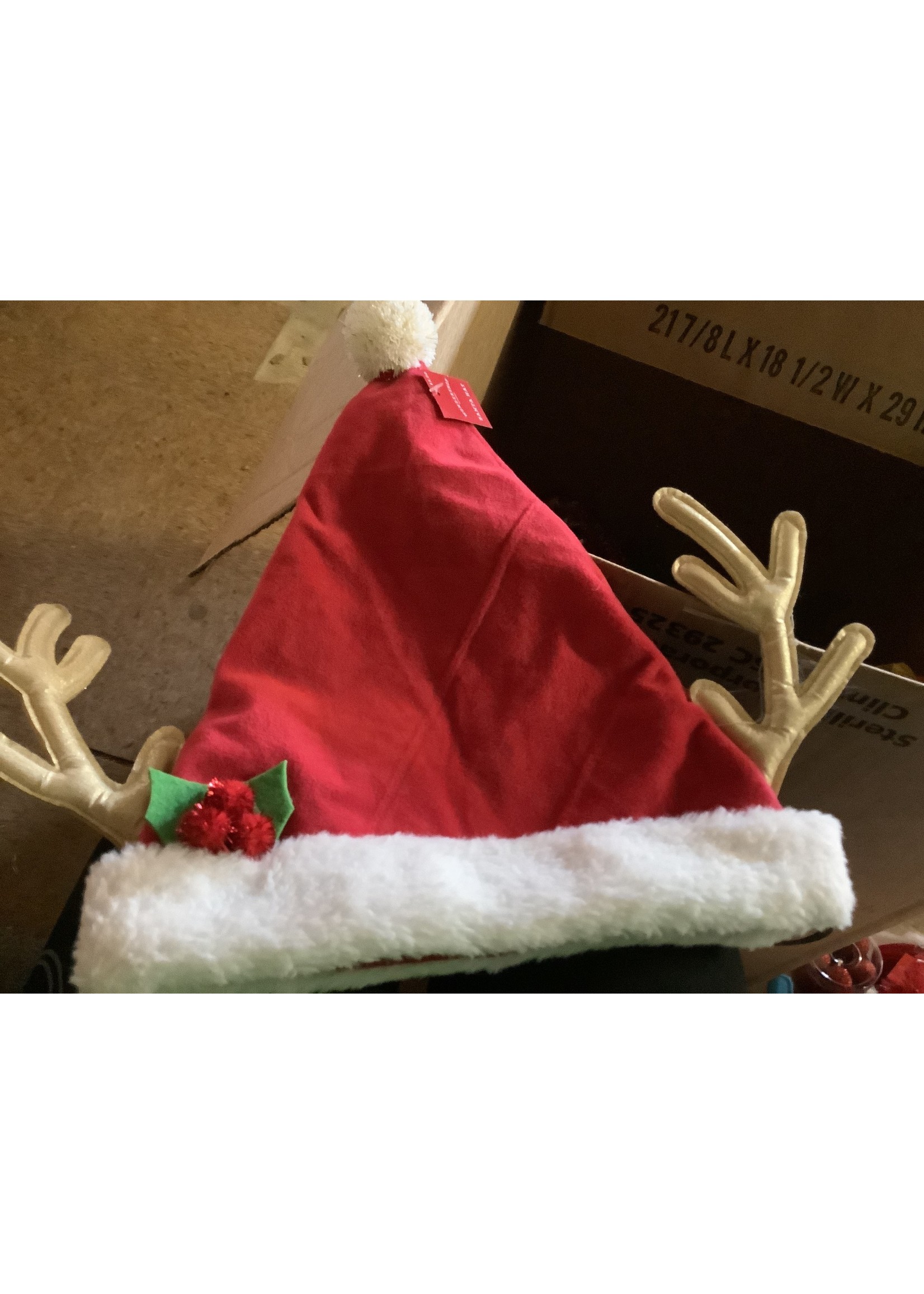 Wondershop Santa Hat w/antlers