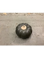 Threshold Medium Black Ceramic Pumpkin
