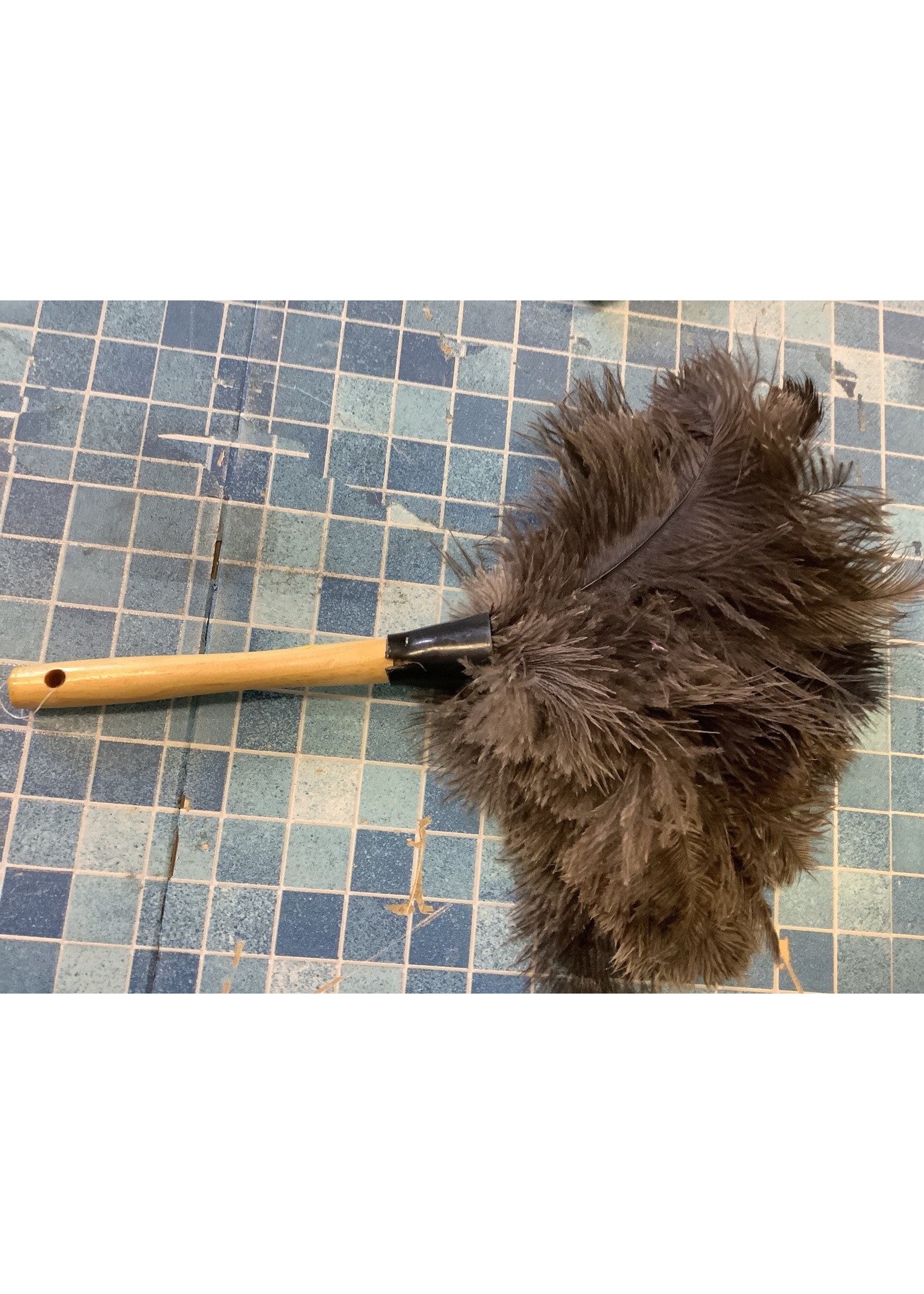 *Small Crack* Feather Duster