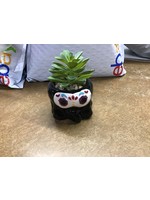 Home Decor Mini Animal Succulent Day of the Dead