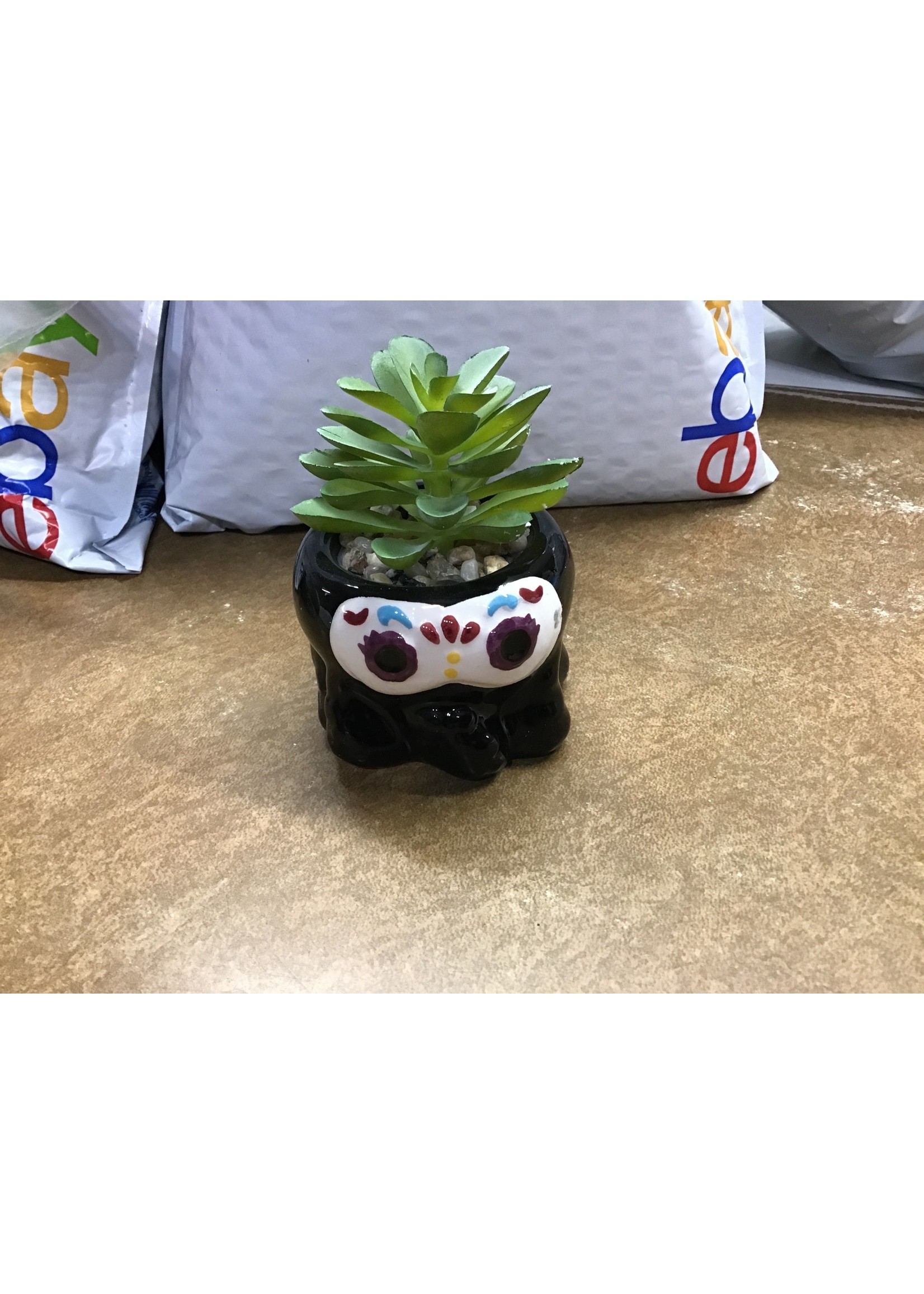 Home Decor Mini Animal Succulent Day of the Dead