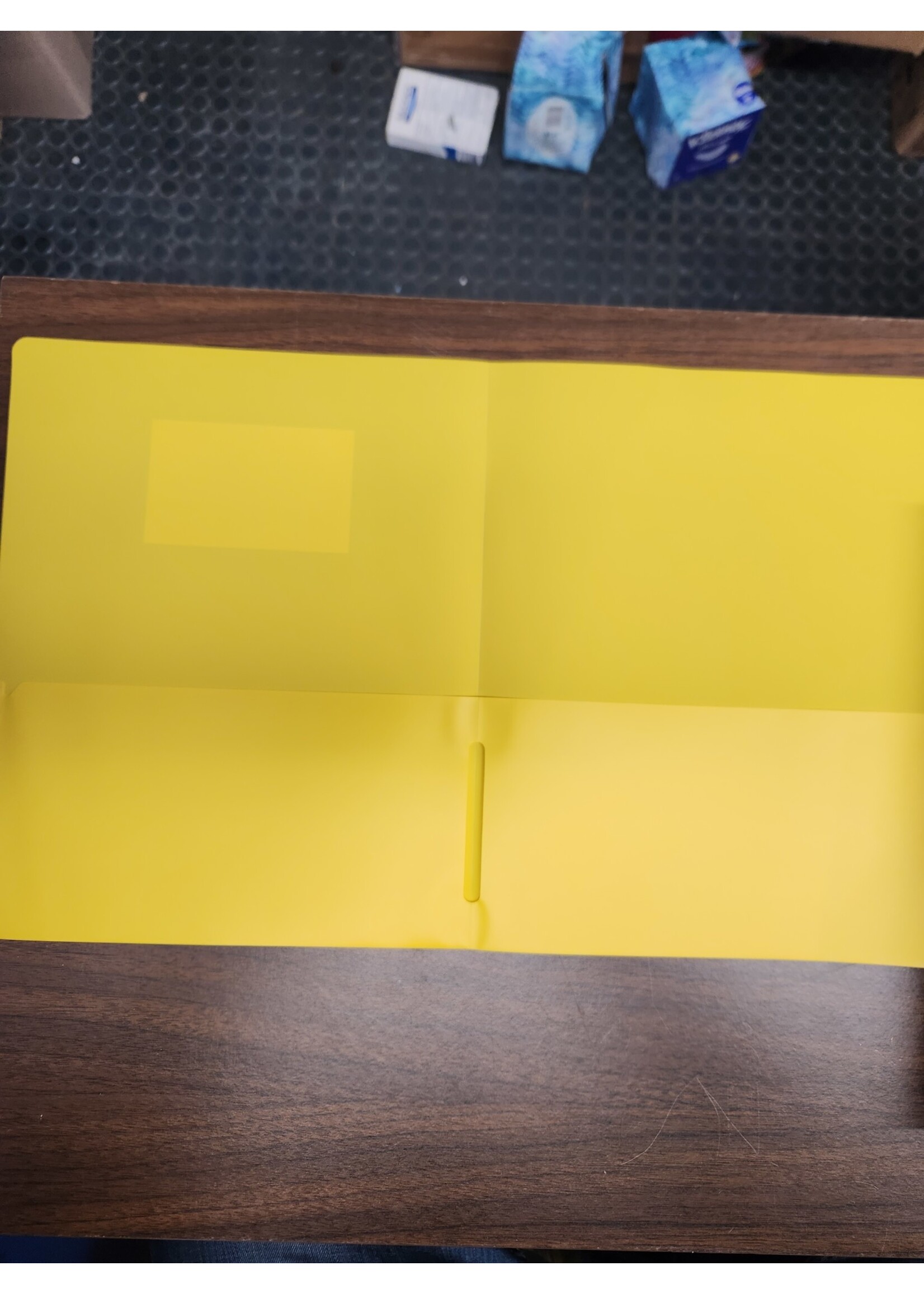 * YellowWexford 9.37"x11.5" Plastic 2 Pocket Folder*